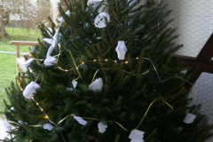 Christmas Tree Festival 2017