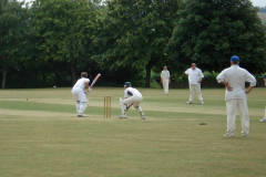 CricketFullSize