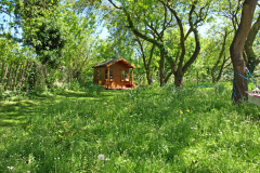Open Gardens 2010