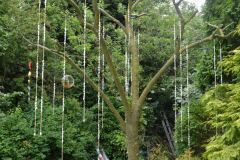 Open Gardens 2016