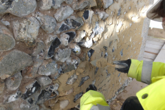 Re-pointing with a lime-based mortar, which will allow trapped moisture to evaporate and the tower to dry out